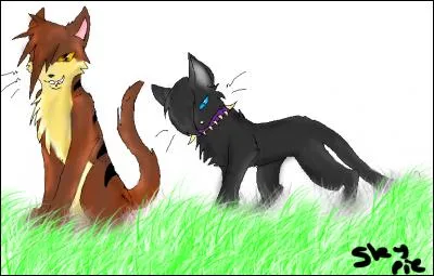 Quel apprenti l'attaque, le blesse assez gravement et lui dit : 
"Tu ne m'oublieras jamais ! " ?