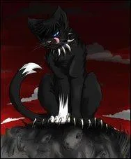 Ensuite, il s'éloigne de plus en plus de sa maison. Là, il rencontre des chats errants, qui se moquent de lui à cause de son collier. Le chaton tente de l'enlever mais n'y arrive pas. Peu après, une dent de chien se retrouve coincée dans son collier après avoir tenté de le retirer.
Il revient voir les chats errants. 
Que leur dit-il ?