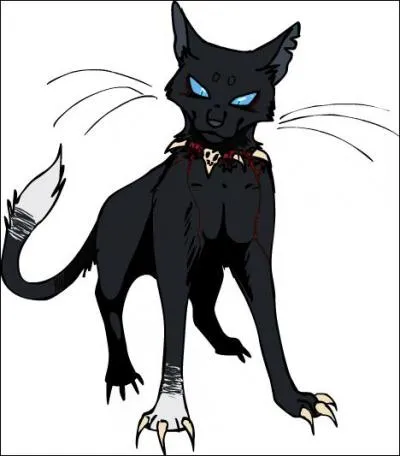 Quand les chats errants lui demande son nom, que répond-il ?