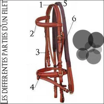 Quelle est la partie numéro 2 du filet ?