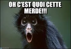 Qui a dit : La pauvreté est un refus de partager la grande fraternité de la merde. ?