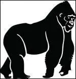 Quel est cet animal ?