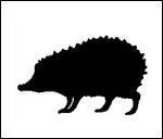 Quel est cet animal ?