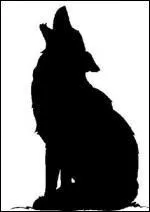 Quel est cet animal ?