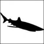 Quel est cet animal ?