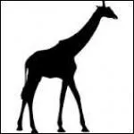 Quel est cet animal ?