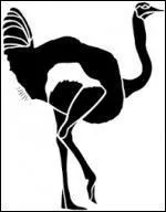 Quel est cet animal ?