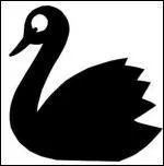 Quel est cet animal ?