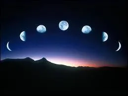 Maudit sois-tu bâtard ! T'es le fils d'un gadjo, t'es le fils...