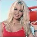 Quelle rôle interprétait Pamela Anderson ?