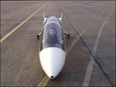 Qui chante "Comme un avion sans ailes" ?