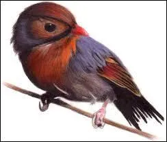 Cache-moi dans ta cachette, Je te dirai des chansons...