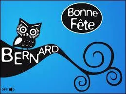 Un petit séjour au violon n'a pas trop atteint cet homme bien dans ses baskets et fier de ses Adidas !