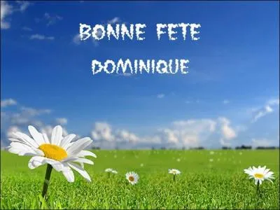 Je ne vous dis que ça : "les hommes préfèrent les grosses ! " ;