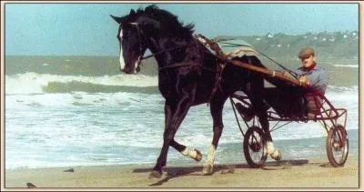 Qui est ce célèbre trotteur français ?