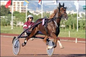 Et le cavalier des courses de trot attelé ?