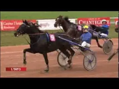 À quelle allure est-on disqualifié ?