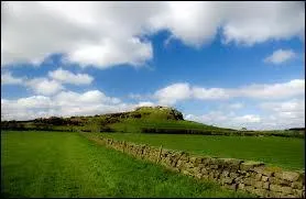 I love children, what about you ?