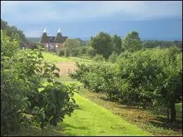 Do you love fruits ?