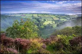 What's your favorite colour ?