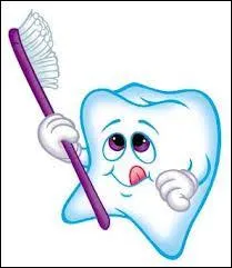 Dans quel pays la brosse à dents a-t-elle été inventée ?