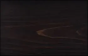 Comment dit-on &laquo; &eacute;b&egrave;ne &raquo; en latin ?