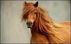 Quelle est cette robe ?