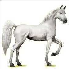 Quelle est cette robe ?