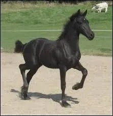 Quelle est cette robe ?