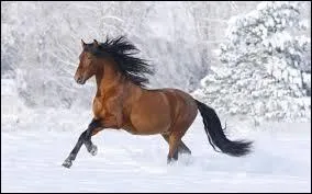 Quelle est cette robe ?