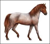 Quelle est cette robe ?