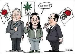 Cet acte revient à ne plus faire encourir de sanctions pénales à un individu possédant ou consommant de la drogue. Toutefois, le dispositif pénal reste maintenu concernant la vente et le trafic. On nomme cela :