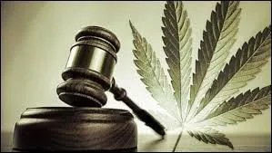 Quant à cet acte, il permet l'usage, la vente et la possession de stupéfiants, sans que cela soit soumis à une quelconque poursuite judiciaire. De quoi s'agit-il ?