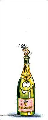 Qu'est ce qu'un vide-bouteille ?