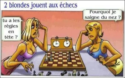 Quelle est la différence entre un alpiniste et le mari d'une blonde ?