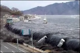 En quelle année a eu lieu le tsunami à Fukushima ?