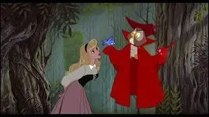 Les fées élèvent la princesse en secret. Comment l'ont-elles surnommée ?