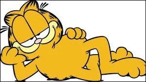 Un célèbre chat...