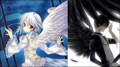 Yami a deux "amis" qui la suivent partout. Comment s'appellent-ils ?