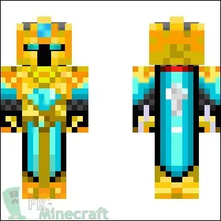 Qu'est-ce qu'un "skin" ?