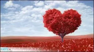 L'amour aime imparfaitement.