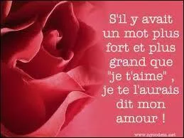 L'amour ne commence ni ne finit comme nous le croyons. L'amour est une bataille, l'amour est une guerre, l'amour grandit.