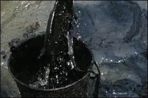 Quels composants forment le mot pétrole ? (traduction littérale)