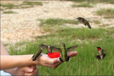 Cette photo a t-elle t retouch ?