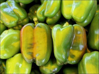 Cette photo a t-elle t retouch ?