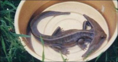 Cette photo a t-elle t retouch ?