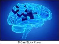 En cas de dépendance totale, le capital maximum est de :