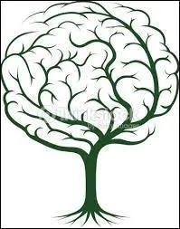 La garantie dépendance est versée en rente mensuelle.