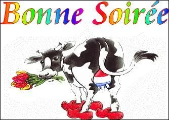 Dentisterie. Réduire de volume une partie de la couronne d'une dent à l'aide d'une meule appropriée :