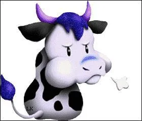 Tas de sel tiré du marais salant :